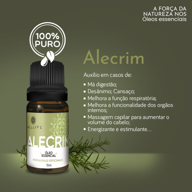Óleo essencial de alecrim para cabelos: para que serve, como usar e benefícios