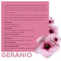 Combo Wellife 3 Óleos Essenciais de Gerânio