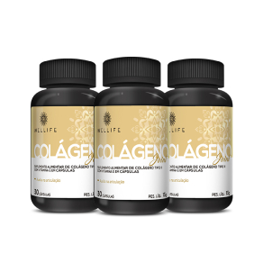 Combo Wellife Colágeno Joint 3 Unidades 

Suplemento Alimentar de Colágeno Tipo 2 com Vitamina e em Cápsulas

- Auxilia na Articulação

30 cápsulas