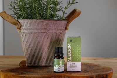 Óleo essencial de alecrim para cabelo: para que serve, como usar e benefícios