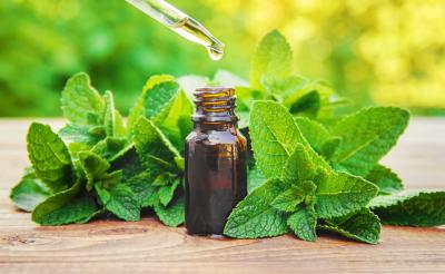 Óleo essencial peppermint (Mentha piperita): benefícios e como usar no dia a dia