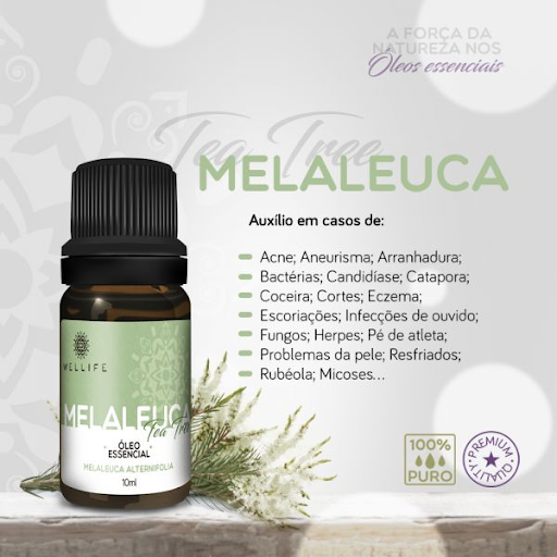 oleo essencial de melaleuca